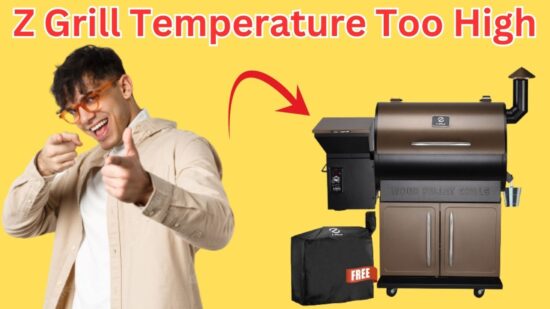 Reasons Z Grill Temperature Too High